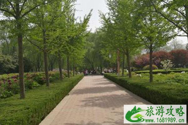 2021隋唐城遗址植物园首届花朝节游玩指南