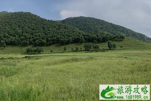 辉腾锡勒黄花沟有哪些好玩的景点