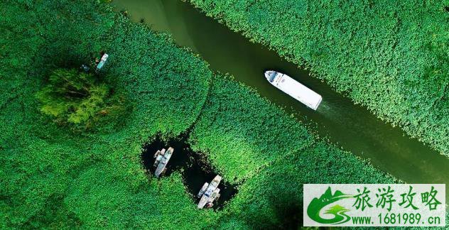 2021红荷湿地免费优惠政策 免费时间