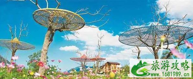 酉阳叠石花谷游玩攻略 2021酉阳叠石花谷有什么好玩的 