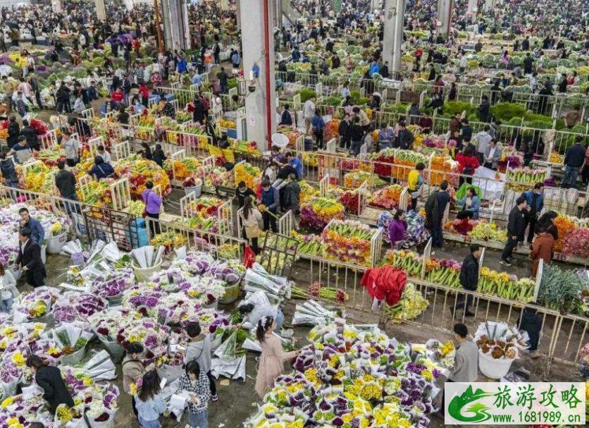 中国花市排名 中国6大花市介绍 中国花市排名 中国6大花市介绍