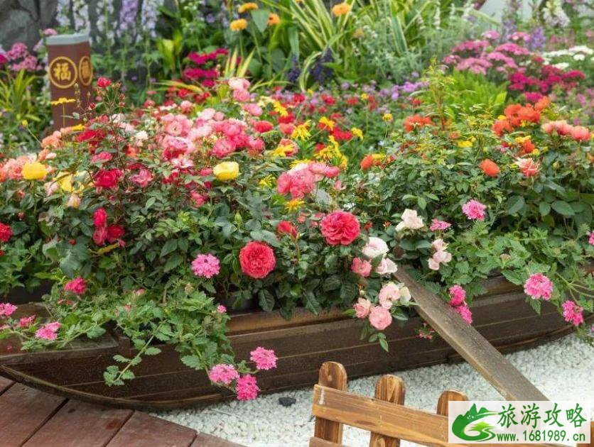 中国花市排名 中国6大花市介绍 中国花市排名 中国6大花市介绍