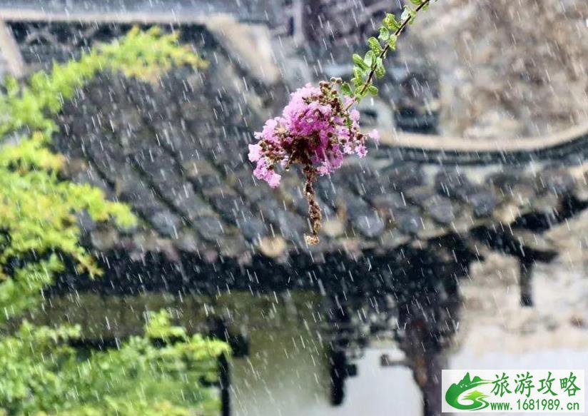 中国花市排名 中国6大花市介绍 中国花市排名 中国6大花市介绍