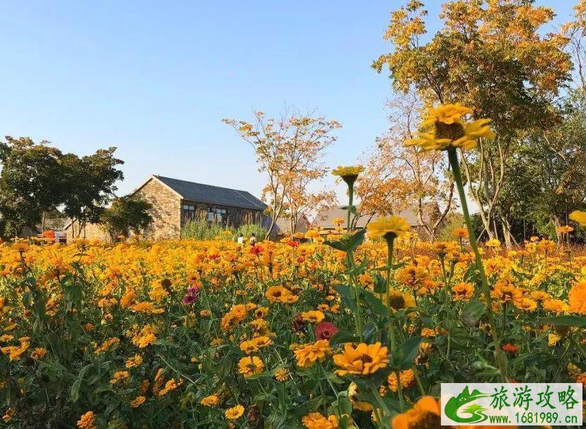 中国花市排名 中国6大花市介绍 中国花市排名 中国6大花市介绍