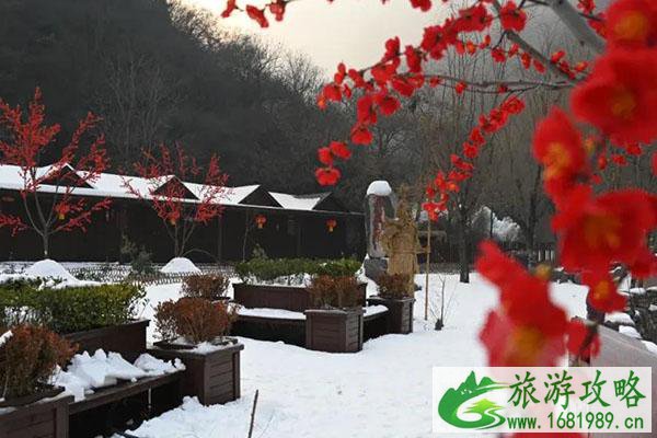 2021春节期间新乡南太行免门票优惠政策