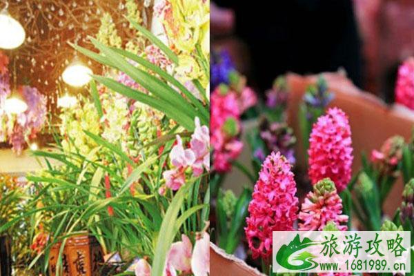 2021广州越秀区迎春花市举办时间 附交通指南