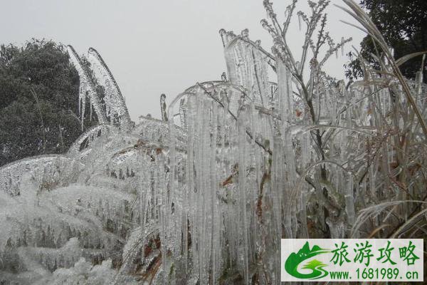 2020大明山雾凇节活动时间+门票+交通指南