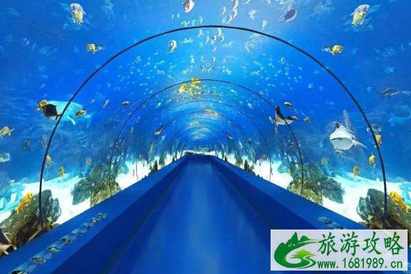 石家庄2020年圣诞节优惠景点介绍-地址-交通指南 石家庄2020年圣诞节优惠景点介绍-地址-交通指南