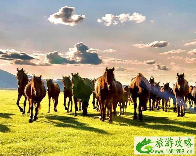 河西走廊自驾游路线图及攻略 河西走廊自驾游路线图及攻略