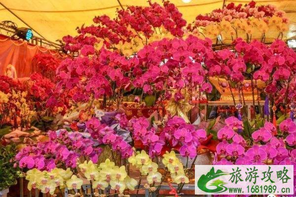 2021佛山迎春花市时间及地点-活动介绍 2021佛山迎春花市时间及地点-活动介绍