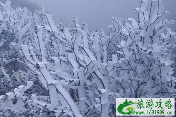 广东有雾凇吗 广东哪里可以看雾凇 广东有雾凇吗 广东哪里可以看雾凇
