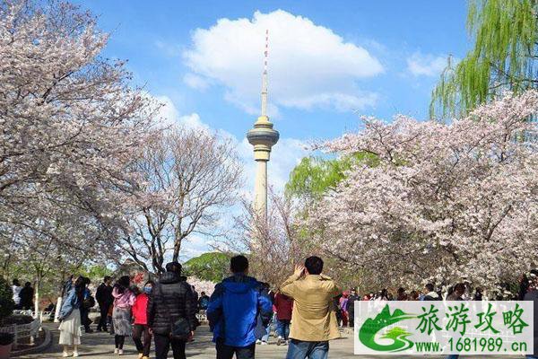 2020北京玉渊潭公园圣诞亮灯活动详情