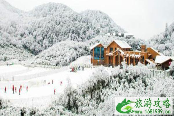 金佛山下雪了吗 金佛山最佳看雪时间 金佛山下雪了吗 金佛山最佳看雪时间