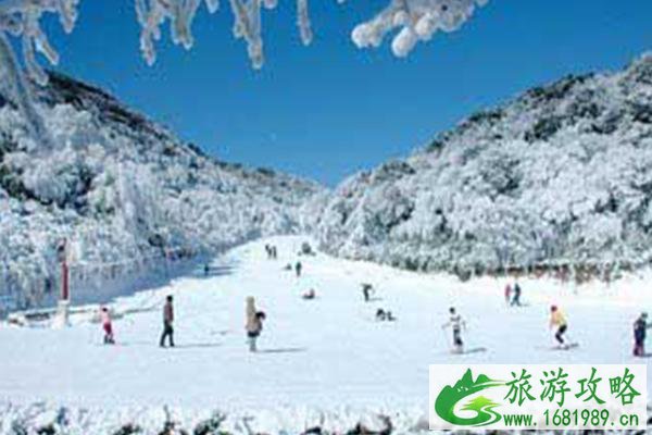 金佛山下雪了吗 金佛山最佳看雪时间 金佛山下雪了吗 金佛山最佳看雪时间