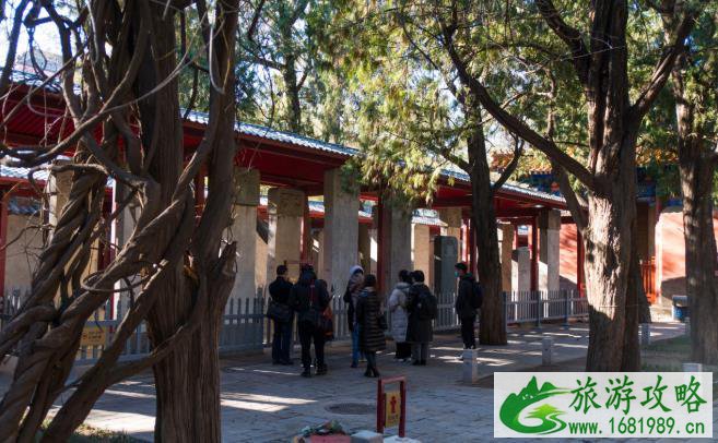 北京孔庙游览路线和攻略 北京孔庙游览路线和攻略
