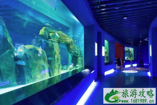 2020石家庄圣诞节平安夜去哪里玩 游玩景点推荐 2020石家庄圣诞节平安夜去哪里玩 游玩景点推荐