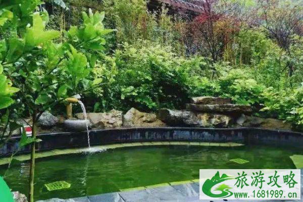 金佛山哪里泡温泉最好 住宿及交通指南 金佛山哪里泡温泉最好 住宿及交通指南