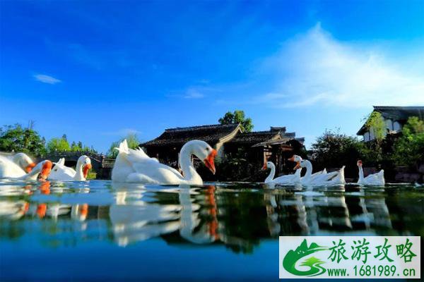 2020-2021甬舟台旅游惠民活动时间及景点名单