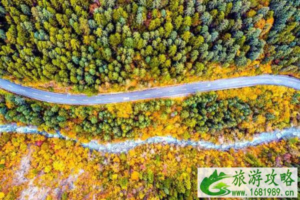 2020年米亚罗红叶节时间 举办地点