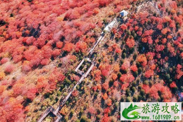 白毛峪红叶好看吗 白毛峪红叶好看吗