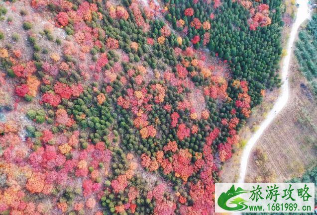 白毛峪红叶好看吗 白毛峪红叶好看吗