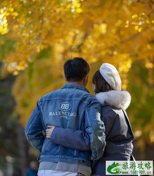 北京钓鱼台东侧三里河路银杏大道观赏指南 北京钓鱼台东侧三里河路银杏大道观赏指南