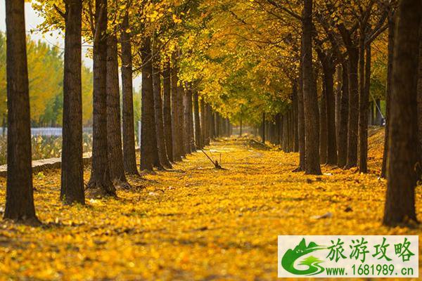 2020国内赏秋小众景点有哪些 赏秋小众景点推荐