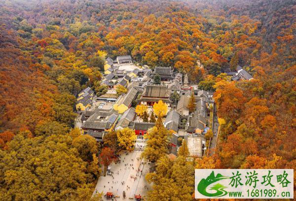 2020栖霞山枫叶什么时候变红 2020栖霞山枫叶什么时候变红