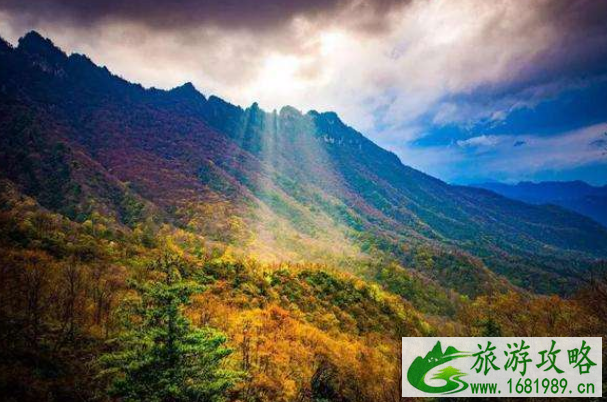 神农架红叶最佳观赏时间 2020年神农架秋色最佳时间 神农架红叶最佳观赏时间 2020年神农架秋色最佳时间