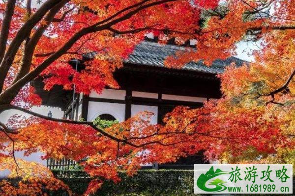 2020中国赏枫胜地 中国有哪些著名的赏枫地点