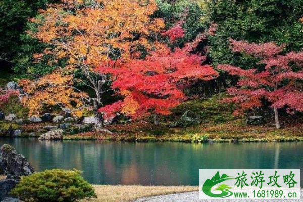 文成旅游攻略 赏枫地点推荐