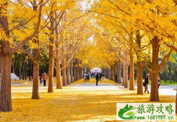 北京看红叶的地方都有哪些 北京看红叶的地方都有哪些