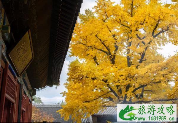 北京看红叶的地方都有哪些 北京看红叶的地方都有哪些