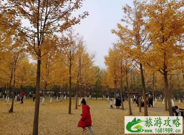 北京看红叶的地方都有哪些 北京看红叶的地方都有哪些