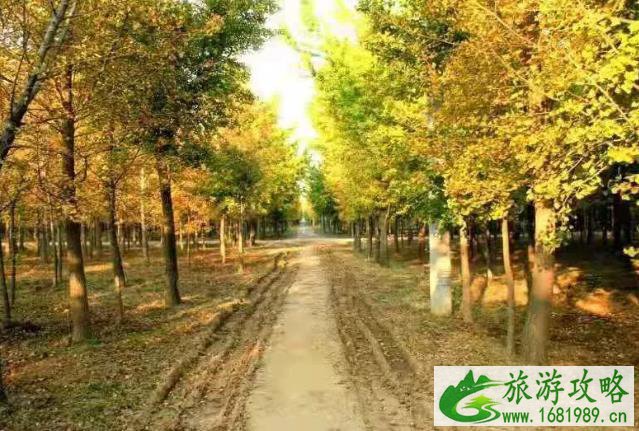 北京看红叶的地方都有哪些 北京看红叶的地方都有哪些