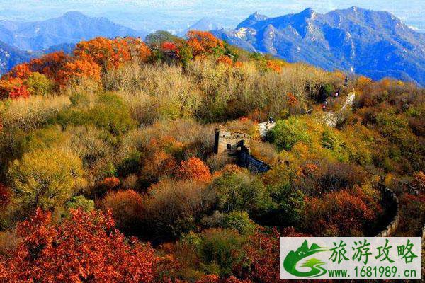 2020云蒙山红叶节举办时间 最佳观赏点