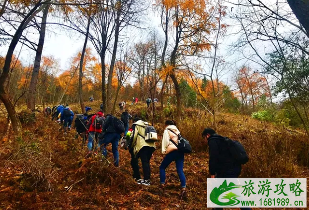 汶川甘海子景区怎么样好玩吗-游玩攻略 汶川甘海子景区怎么样好玩吗-游玩攻略