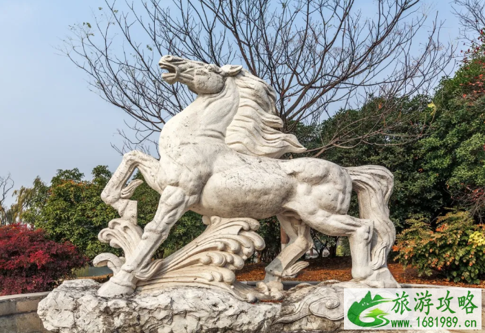 2020南京重阳节哪些景点对老年人免费 南京重阳节活动汇总