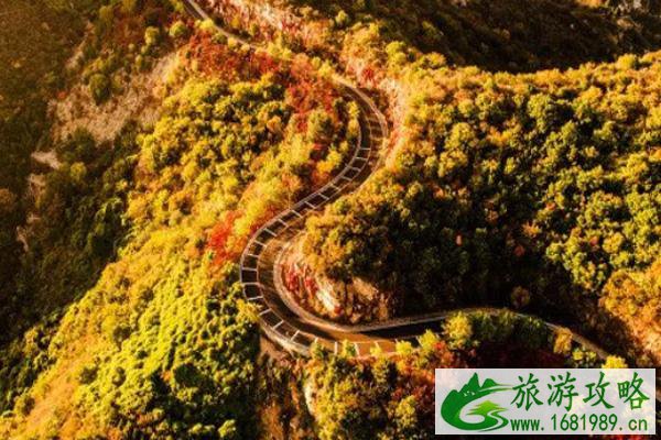 北京万圣节活动2020 北京红叶节有哪些地方 北京万圣节活动2020 北京红叶节有哪些地方