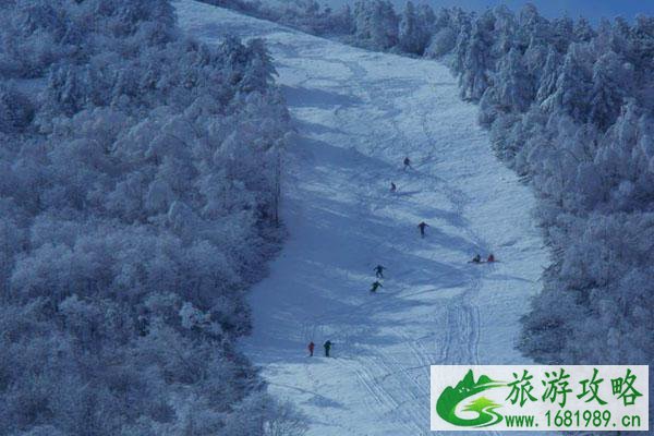 神农架有几个滑雪场 哪个滑雪场更好