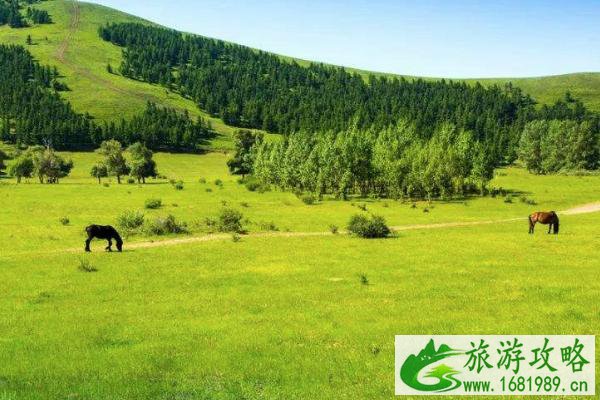 坝上草原的旅游攻略 最佳旅游时间