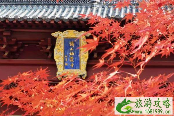 国内赏枫叶的地方有哪些