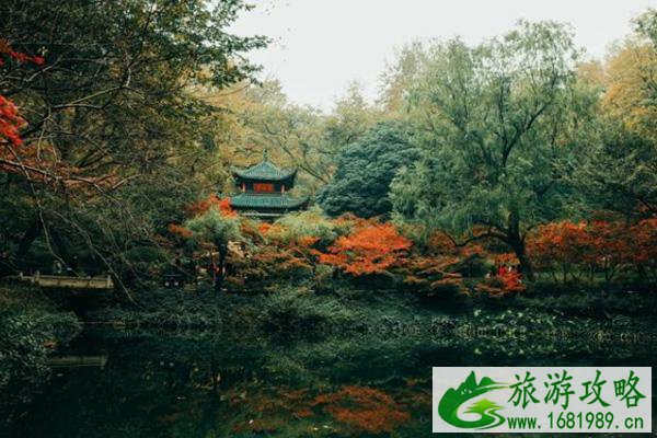 国内赏枫叶的地方有哪些