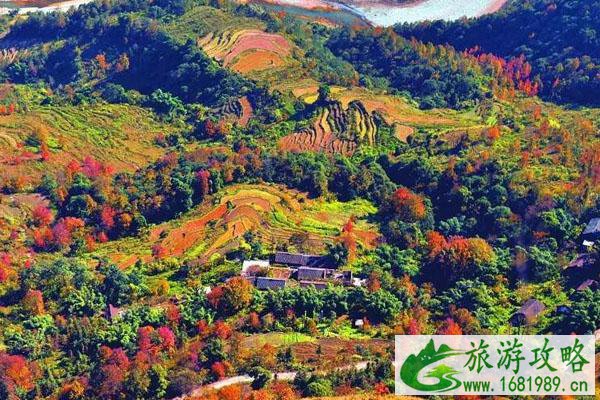 安顺枫林火焰山在哪 枫叶最佳观赏时间