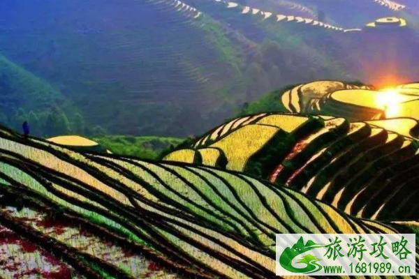 龙脊梯田游玩攻略 交通住宿