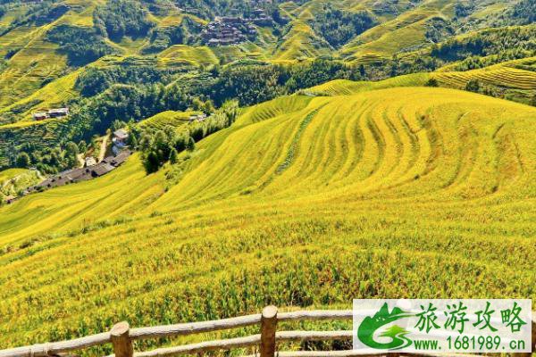 龙脊梯田游玩攻略 交通住宿