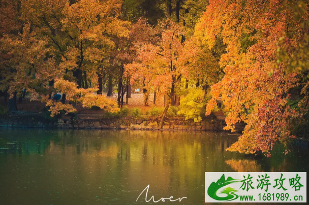 11月国内赏秋的好地方