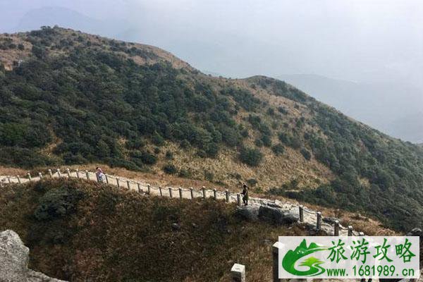 深圳重阳节去哪里爬山2020