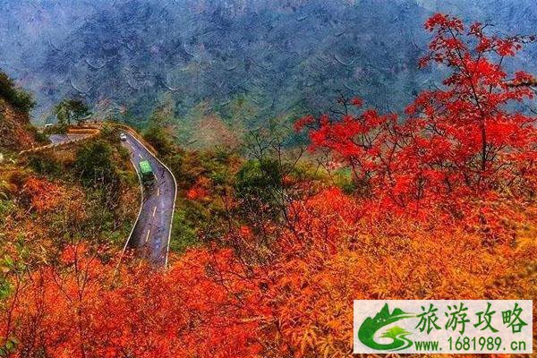 2020云台山红叶国潮文化节举办时间-活动内容