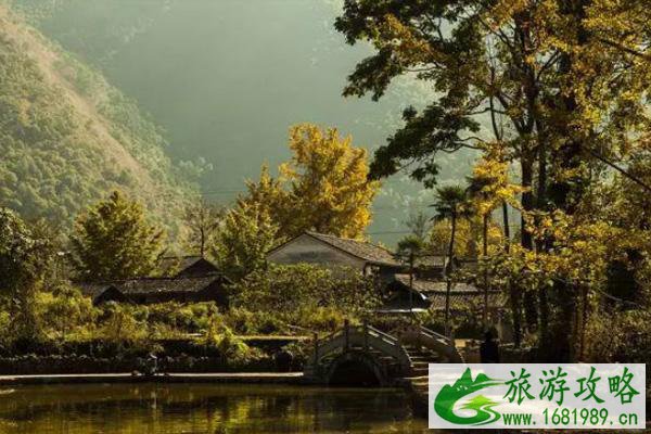 11月旅游的最佳地方 有哪些